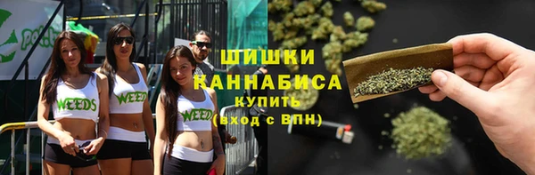 PSILOCYBIN Арсеньев