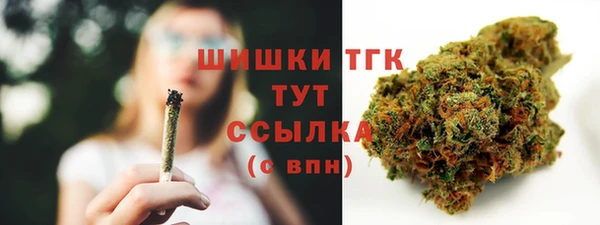 PSILOCYBIN Арсеньев
