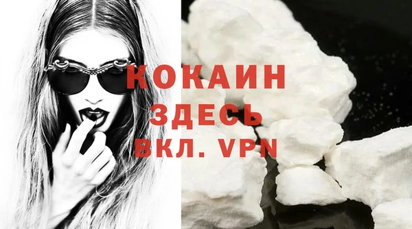 сатива Гусиноозёрск