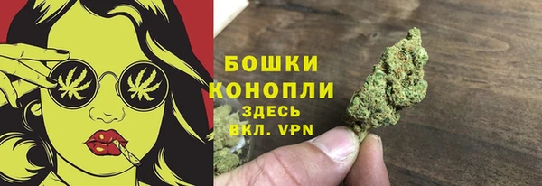 PSILOCYBIN Арсеньев