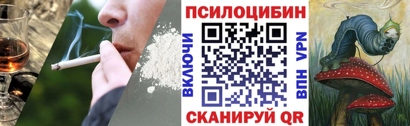 Галлюциногенные грибы GOLDEN TEACHER  где найти наркотики  Горняк 